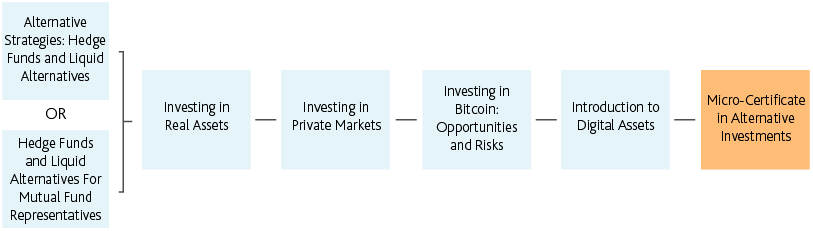 Desktop__Micro-Certificate in Alternative Investments